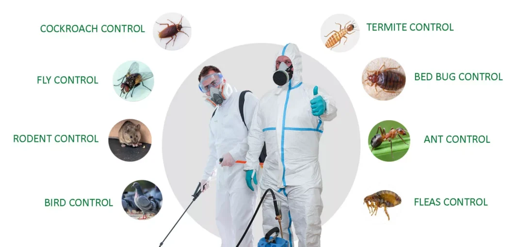 Pest Control Services Lahore