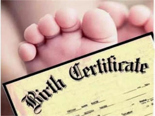 NDMC birth certificate online