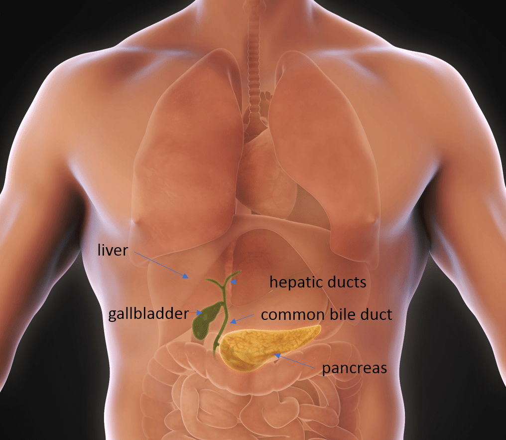 gall bladder stone surgery in riyadh