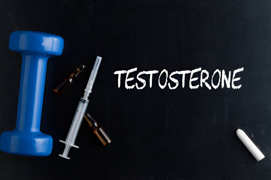 How Testosterone Therapy Can Reduce Body Fat